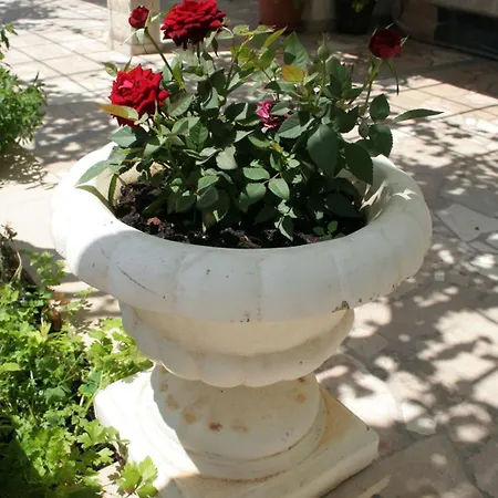 And By The Sea Orebic, Peljesac - 4553 בית הארחה