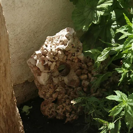 And By The Sea Orebic, Peljesac - 4553