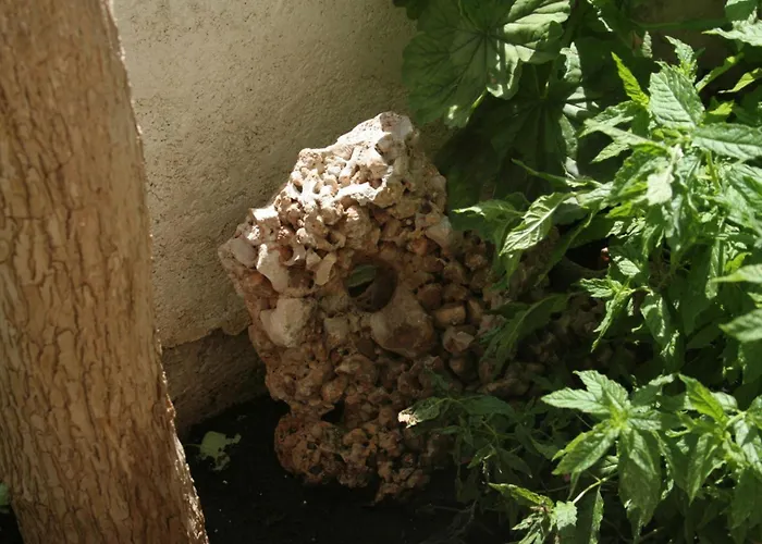 And By The Sea Orebic, Peljesac - 4553